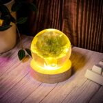 Carnation Flower Sphere Resin Lamp - Image 6