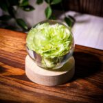 Carnation Flower Sphere Resin Lamp - Image 8