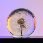 Dandelion Night Light - Image 5
