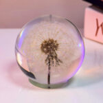 Dandelion Night Light - Image 14