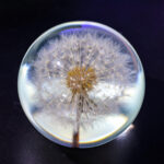 Dandelion Night Light - Image 6