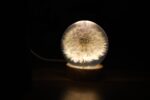 Dandelion Night Light - Image 18