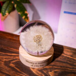 Dandelion Night Light - Image 9