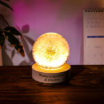 Dandelion Night Light - Image 12
