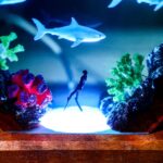 Inverted Triangle White Shark & Diver Epoxy Lamp - Image 8