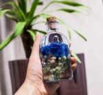 Blue Rose Night light - Image 3