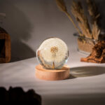Dandelion Night Light - Image 4