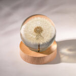 Dandelion Night Light - Image 16