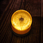 Dandelion Night Light - Image 10