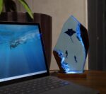 Manta Rays and Diver Night Lights - Image 2