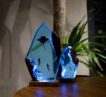 Manta Rays and Diver Night Lights - Image 5