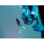 Scuba Diver Epoxy Night Light detail 3 - EpoLume