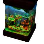 eevee evolution diorama resin night light handmade resin night light by EpoLume - detail photo 2