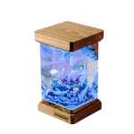 lugia resin night light handmade resin night light by EpoLume - product photo