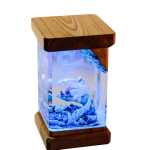 lugia resin night light handmade resin night light by EpoLume - detail photo 1