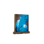 Detail view of Shark Cylinder Epoxy Night Light handmade epoxy resin lamp