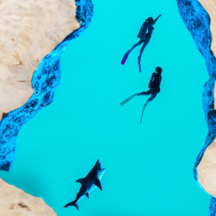Shark Ocean Block Epoxy Night Light handmade epoxy resin night light